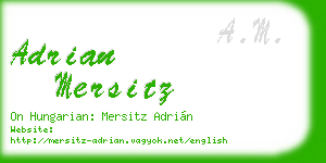 adrian mersitz business card